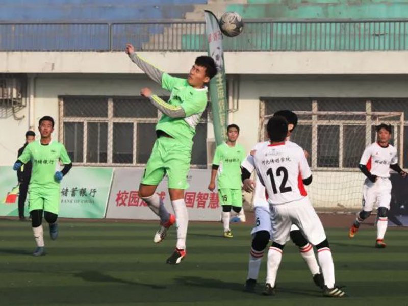 熊猫体育概况